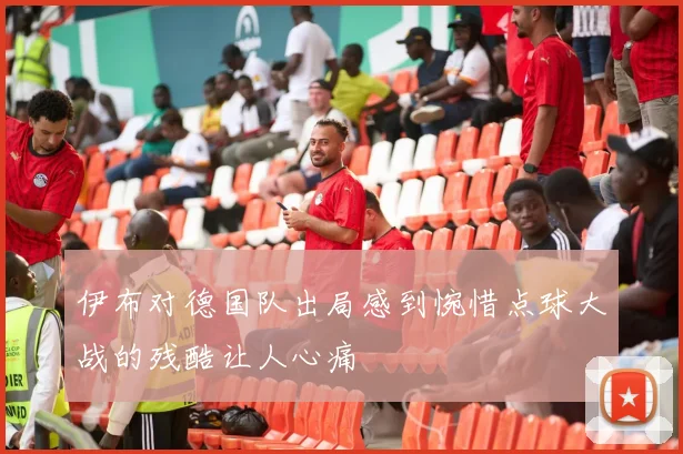 伊布对德国队出局感到惋惜点球大战的残酷让人心痛