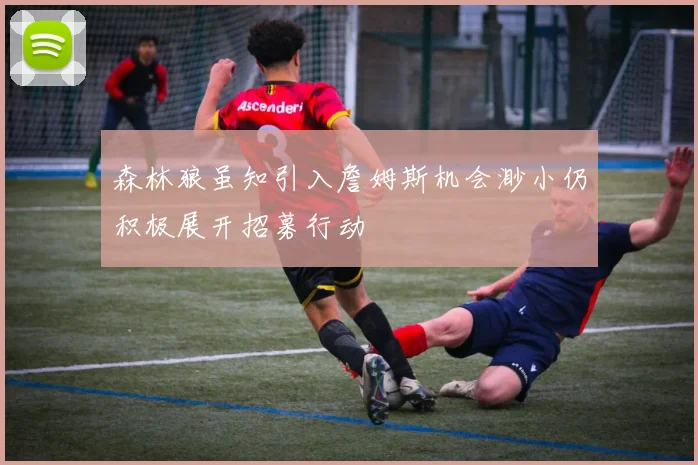 森林狼虽知引入詹姆斯机会渺小仍积极展开招募行动